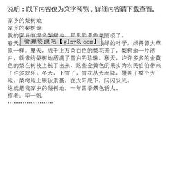 校園的梨樹作文400字