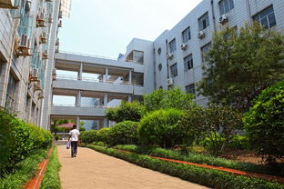 新昌城關中學校園環(huán)境的作文