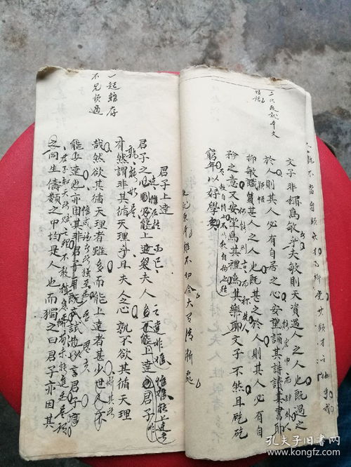 批語,作文,美麗,校園
