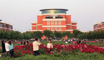 五月的花開滿校園作文