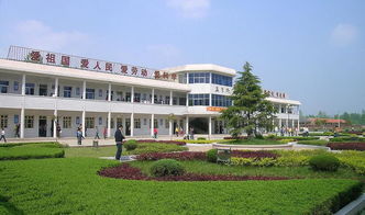 校園池塘作文200字