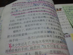 我喜歡春天的校園作文400字,我喜歡校園的操場作文400字,我喜歡的校園活動400字作文