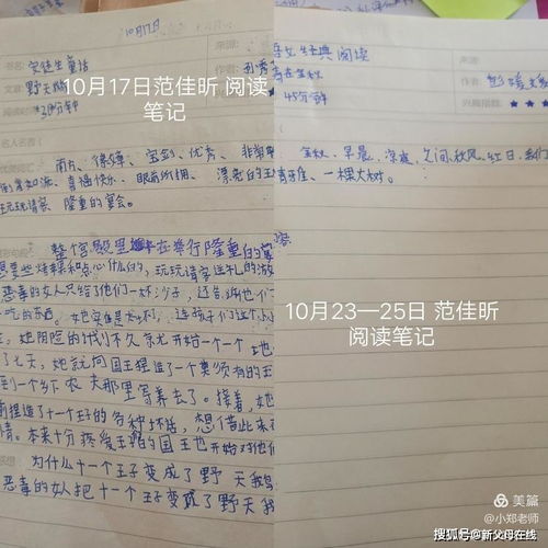 作文,在校,園里,勞動