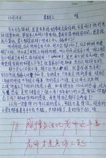 作文,雨后,小學(xué)生,校園