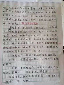 寫青島的中小學(xué)最美校園的作文