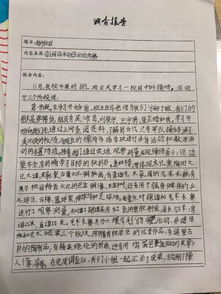 作文,四級,人教版,操場