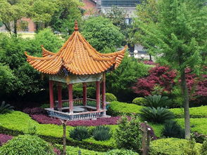 校園的一角涼亭作文400字