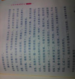 游校園作文300字左右(按游覽順序)