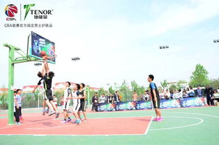 觀校園籃球賽有感作文800議論文