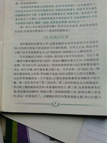 校園的一處風(fēng)景作文400字四年級(jí),我的樂(lè)園校園四年級(jí)作文400字,校園里的花壇作文400字左右四年級(jí)