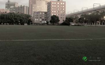 校園一角國旗臺作文400字,校園一角作文600字,校園一角升旗臺作文