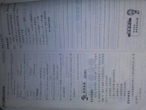 學(xué)校校園校規(guī)英語(yǔ)作文