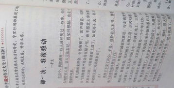 校園風(fēng)采作文800字記敘文高一