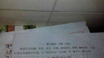 大學校園生活作文兩篇