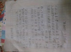 關(guān)于小學(xué)生四年級(jí)校園趣事的作文,四年級(jí)校園趣事作文怎么寫,四年級(jí)校園趣事的作文400字左右