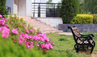 作文春天的校園600字左右