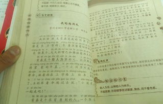 校園作文100個字左右作文大全