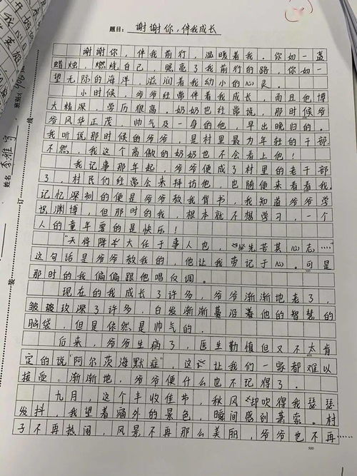 作文,結尾,開頭,溫暖