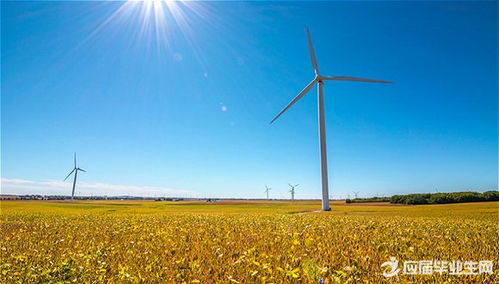 校園生活作文700字初一作文