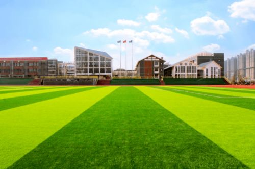 校園足球場的景的作文