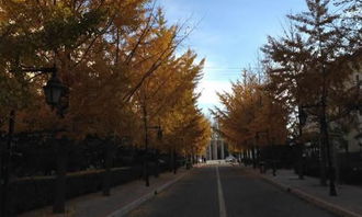 走出校園作文800