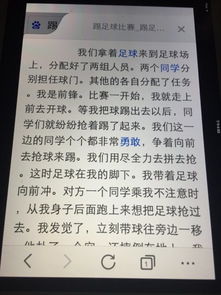 寫校園里踢足球的作文四百字