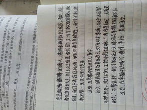 春天校園的一角600字作文