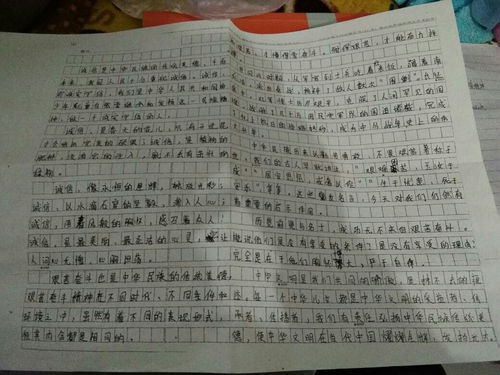 校園傳統(tǒng)文化節(jié)作文500字