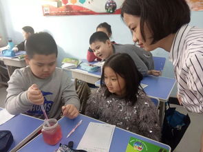 校園里的等候區(qū)作文