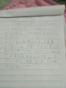 校園里的大松樹作文怎么寫