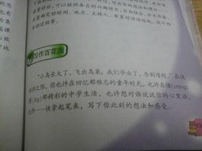 校園的墻壁作文,校園足球文化作文,紅色文化進(jìn)校園作文800字
