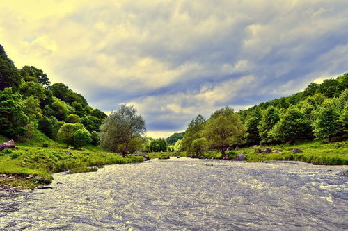 初一作文校園風(fēng)景600