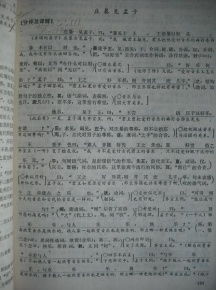 校園文明評點(diǎn)高中作文300字