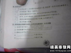 五級校園作文點評語