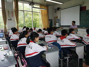 欺凌,作文,心得體會,校園