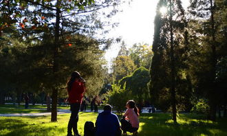 校園里難忘事作文500字作文