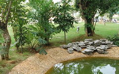 小學(xué)200字作文校園一角