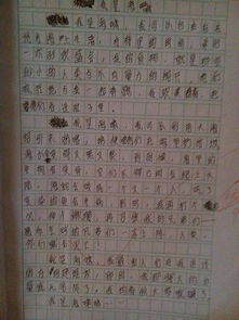 校園藝術節(jié)作文200字三級作文