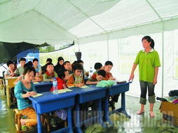 小鬼當(dāng)家作文400字作文,小鬼當(dāng)家獲獎(jiǎng)作文,小鬼當(dāng)家作文300字