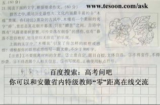 關(guān)于校園木槿花的作文800字