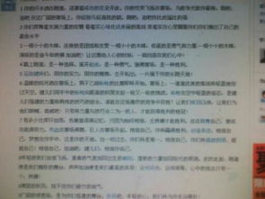 新聞報道校園運動會英語作文