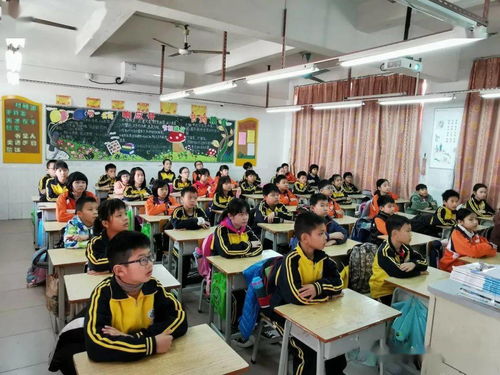 作文,班會,愛護(hù),校園