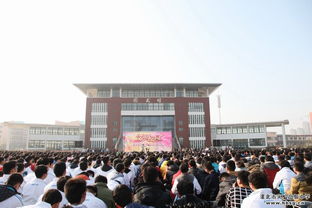 校園文明實(shí)踐心得體會作文