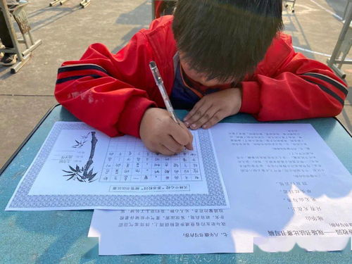 美麗校園藝術(shù)節(jié)作文初中