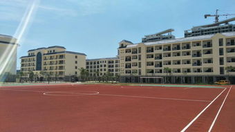 作文我的新校園寰島中學(xué)五百字