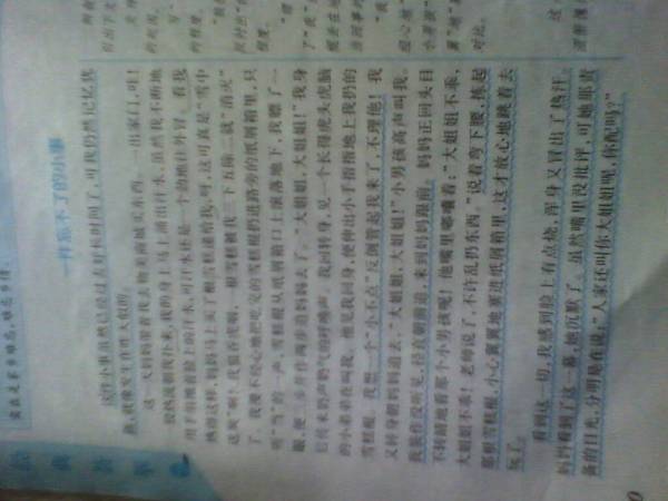 校園晨練四百字作文