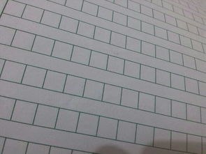 美麗校園人人有責(zé)作文400字左右