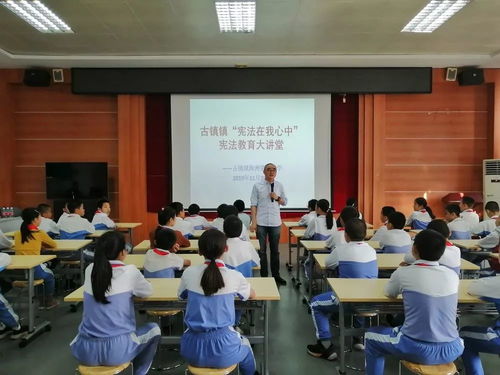 憲法宣傳進(jìn)校園活動作文