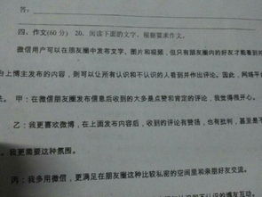 校園里的陽光高中800字作文議論文