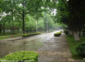 關(guān)于雨中校園作文的開(kāi)頭